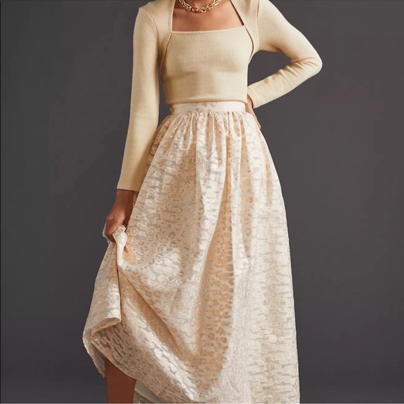 Anthropologie Dresses & Skirts - Anthropologie PANKAJ & NIDHI Burnout Shimmer Maxi Skirt Women’s Sz S Shimmer